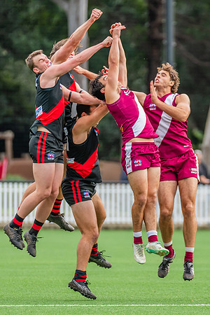 Rd 1 MPD - North Shore v Manly Warringah - 8 June 2024