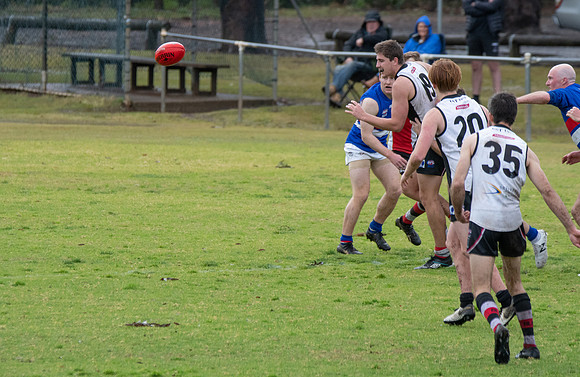 Black Diamond AFL HCC Plate  - Terrigal Avoca v Warners Bay Prel