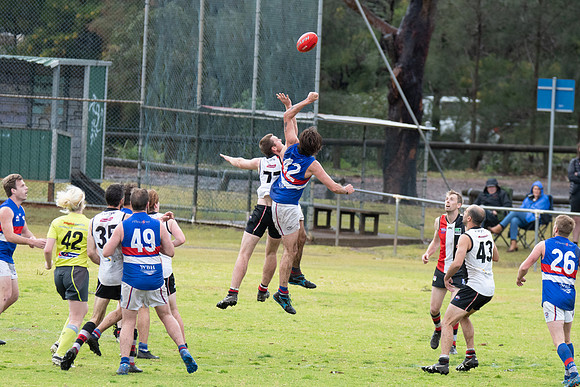 Black Diamond AFL HCC Plate  - Terrigal Avoca v Warners Bay Prel