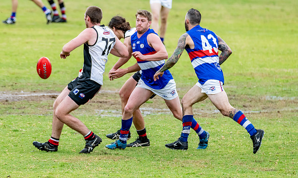 Black Diamond AFL HCC Plate  - Terrigal Avoca v Warners Bay Prel