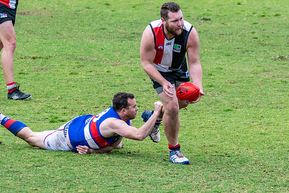 Black Diamond AFL HCC Plate  - Terrigal Avoca v Warners Bay Prel