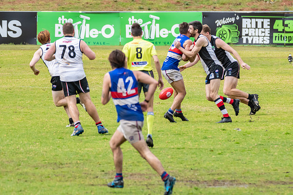 Black Diamond AFL HCC Plate  - Terrigal Avoca v Warners Bay Prel