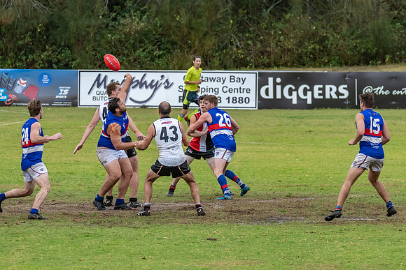 Black Diamond AFL HCC Plate  - Terrigal Avoca v Warners Bay Prel