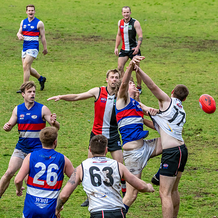 Black Diamond AFL HCC Plate  - Terrigal Avoca v Warners Bay Prel