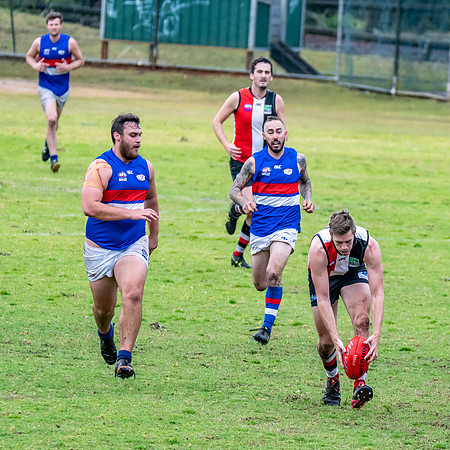 Black Diamond AFL HCC Plate  - Terrigal Avoca v Warners Bay Prel