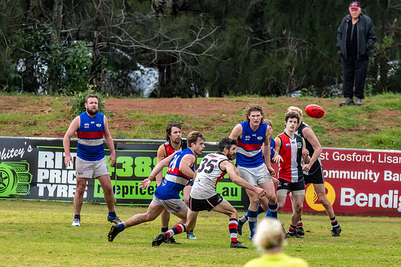 Black Diamond AFL HCC Plate  - Terrigal Avoca v Warners Bay Prel