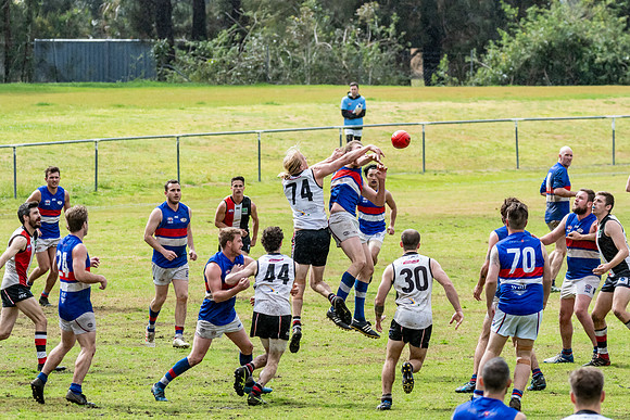 Black Diamond AFL HCC Plate  - Terrigal Avoca v Warners Bay Prel