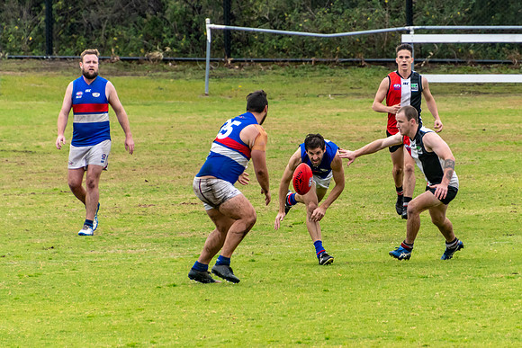 Black Diamond AFL HCC Plate  - Terrigal Avoca v Warners Bay Prel