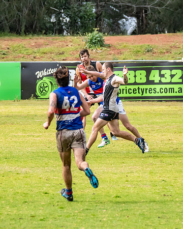 Black Diamond AFL HCC Plate  - Terrigal Avoca v Warners Bay Prel