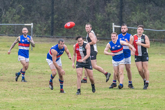 Black Diamond AFL HCC Plate  - Terrigal Avoca v Warners Bay Prel
