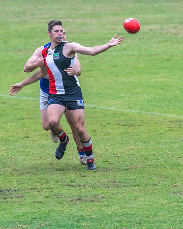 Black Diamond AFL HCC Plate  - Terrigal Avoca v Warners Bay Prel