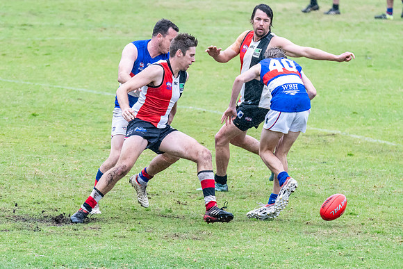 Black Diamond AFL HCC Plate  - Terrigal Avoca v Warners Bay Prel