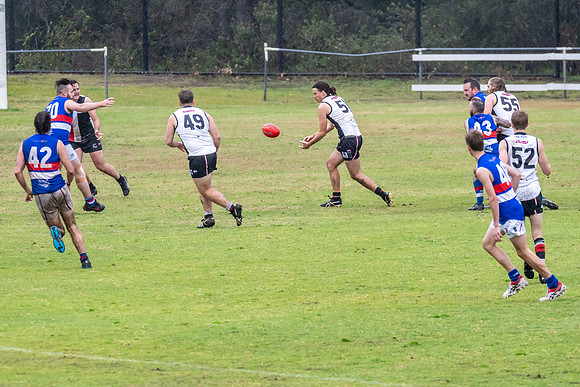 Black Diamond AFL HCC Plate  - Terrigal Avoca v Warners Bay Prel