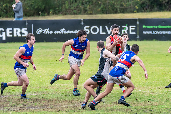 Black Diamond AFL HCC Plate  - Terrigal Avoca v Warners Bay Prel