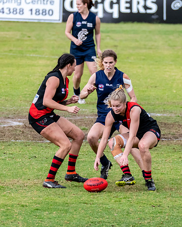HCC Womens  - Killarney Vale v Newcastle City - Elimination Fina