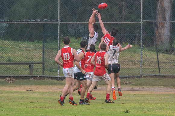 Black Diamond AFL HCC Plate  - Terrigal Avoca v Singleton Prelim