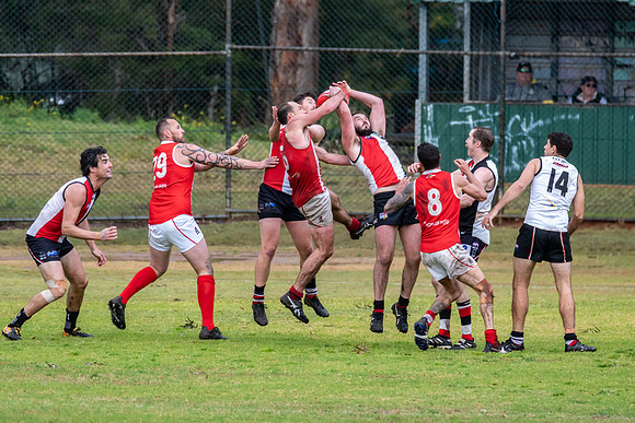 Black Diamond AFL HCC Plate  - Terrigal Avoca v Singleton Prelim
