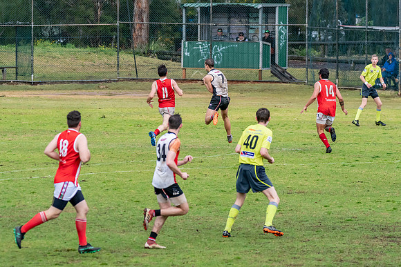 Black Diamond AFL HCC Plate  - Terrigal Avoca v Singleton Prelim