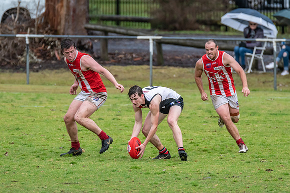 Black Diamond AFL HCC Plate  - Terrigal Avoca v Singleton Prelim
