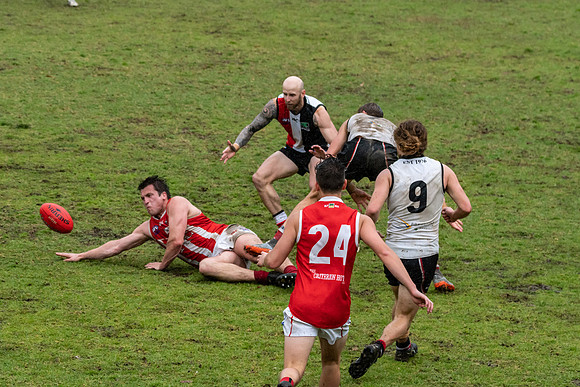 Black Diamond AFL HCC Plate  - Terrigal Avoca v Singleton Prelim