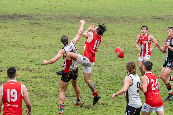 Black Diamond AFL HCC Plate  - Terrigal Avoca v Singleton Prelim