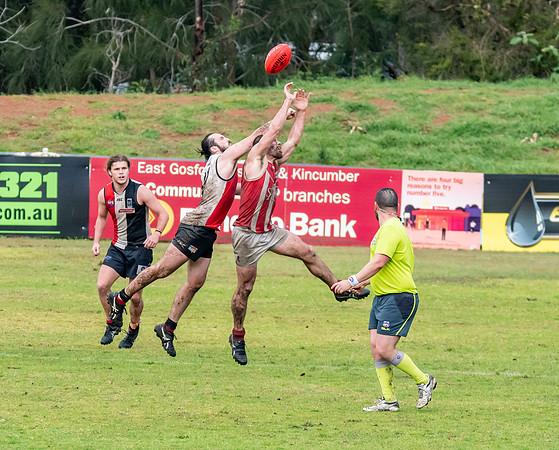 Black Diamond AFL HCC Plate  - Terrigal Avoca v Singleton Prelim
