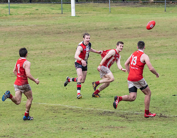 Black Diamond AFL HCC Plate  - Terrigal Avoca v Singleton Prelim