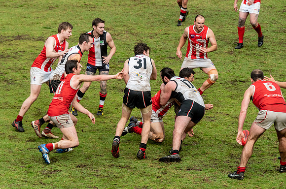 Black Diamond AFL HCC Plate  - Terrigal Avoca v Singleton Prelim