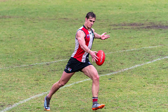 Black Diamond AFL HCC Plate  - Terrigal Avoca v Singleton Prelim