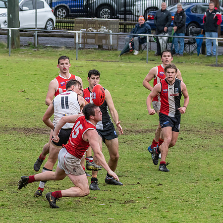 Black Diamond AFL HCC Plate  - Terrigal Avoca v Singleton Prelim
