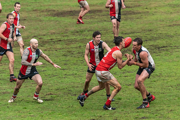 Black Diamond AFL HCC Plate  - Terrigal Avoca v Singleton Prelim