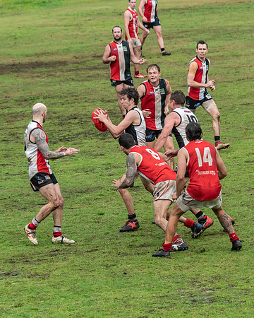 Black Diamond AFL HCC Plate  - Terrigal Avoca v Singleton Prelim