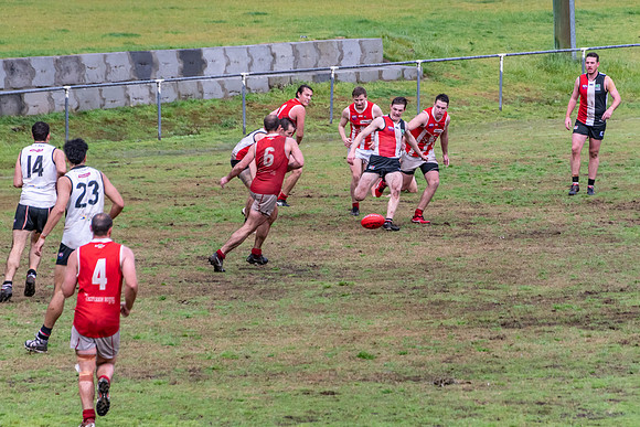 Black Diamond AFL HCC Plate  - Terrigal Avoca v Singleton Prelim