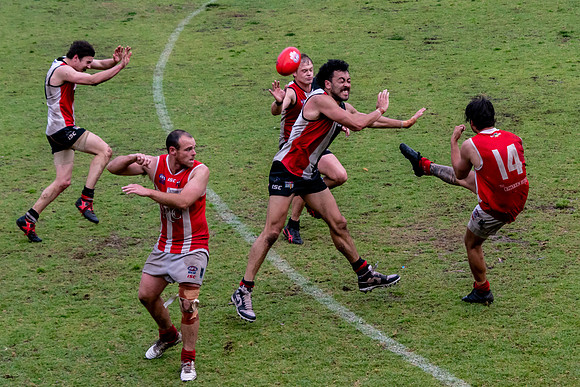 Black Diamond AFL HCC Plate  - Terrigal Avoca v Singleton Prelim