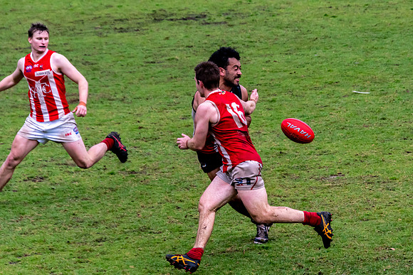 Black Diamond AFL HCC Plate  - Terrigal Avoca v Singleton Prelim