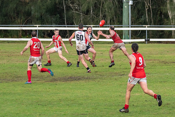 Black Diamond AFL HCC Plate  - Terrigal Avoca v Singleton Prelim