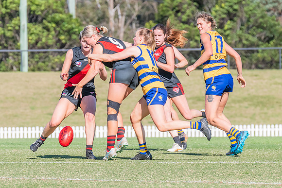 WPD Elimination Final - North Shore v Sydney Uni - 1 September 2