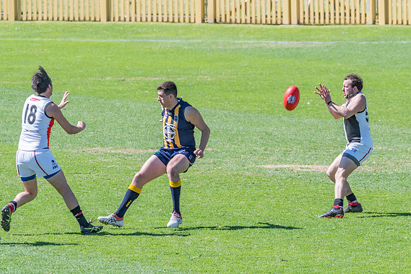 GF Plate  - Terrigal Avoca v TEBB