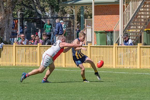GF Plate  - Terrigal Avoca v TEBB