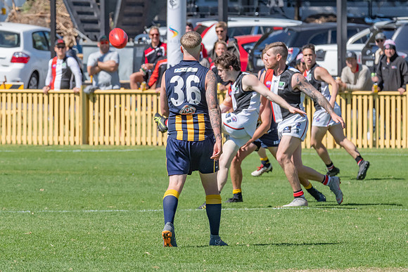 GF Plate  - Terrigal Avoca v TEBB