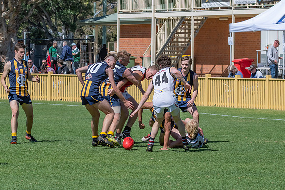 GF Plate  - Terrigal Avoca v TEBB