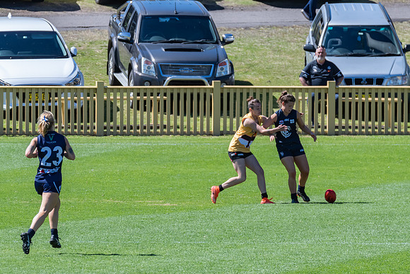 AFLHCC Womens Grand Final - Newcastle City v Maitland