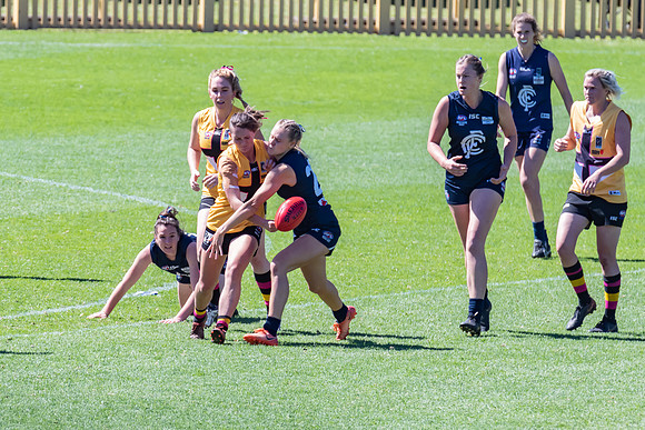 AFLHCC Womens Grand Final - Newcastle City v Maitland