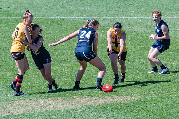 AFLHCC Womens Grand Final - Newcastle City v Maitland