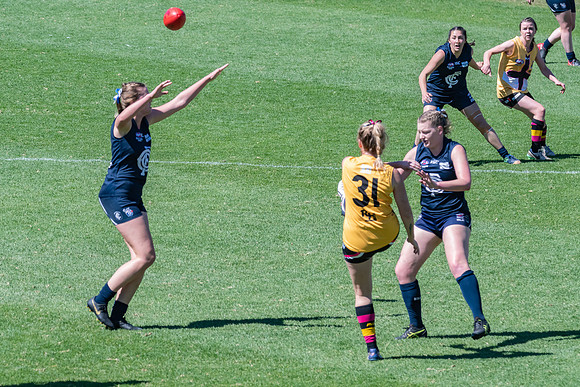 AFLHCC Womens Grand Final - Newcastle City v Maitland