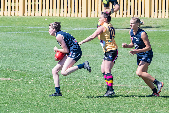 AFLHCC Womens Grand Final - Newcastle City v Maitland