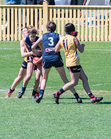 AFLHCC Womens Grand Final - Newcastle City v Maitland