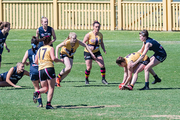 AFLHCC Womens Grand Final - Newcastle City v Maitland