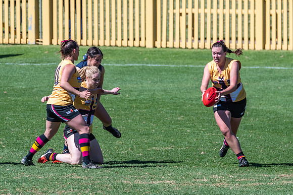AFLHCC Womens Grand Final - Newcastle City v Maitland