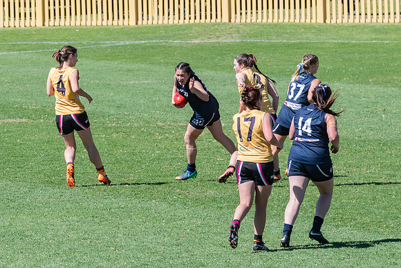 AFLHCC Womens Grand Final - Newcastle City v Maitland